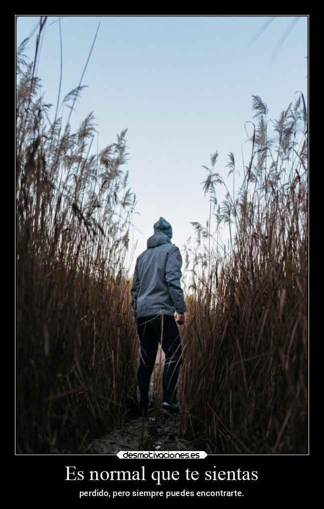 Es normal que te sientas - perdido, pero siempre puedes encontrarte.