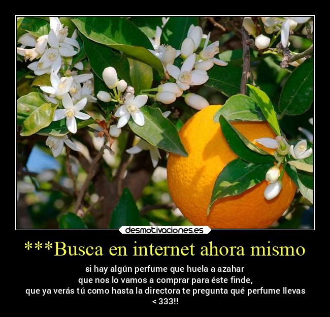 ***Busca en internet ahora mismo -
