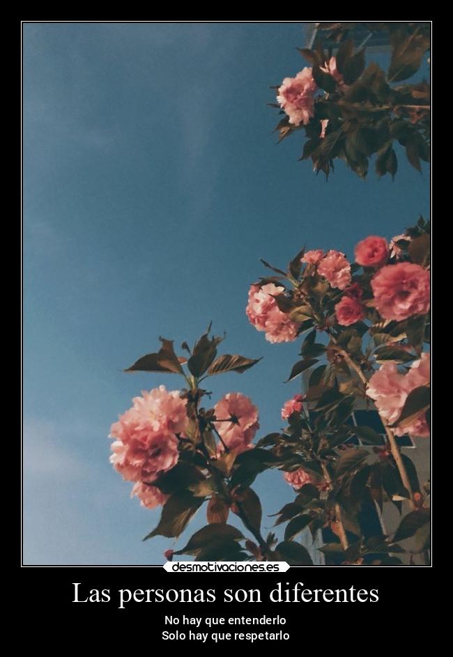 Las personas son diferentes - 