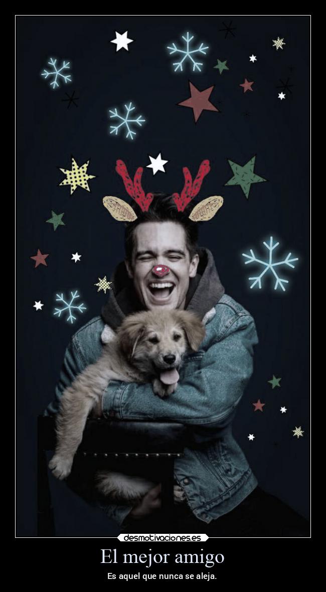 carteles amistad amigos animales navidad desmonavidad2022 desmotivaciones