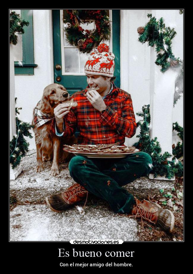 carteles amistad navidad animales perro desmonavidad2022 desmotivaciones