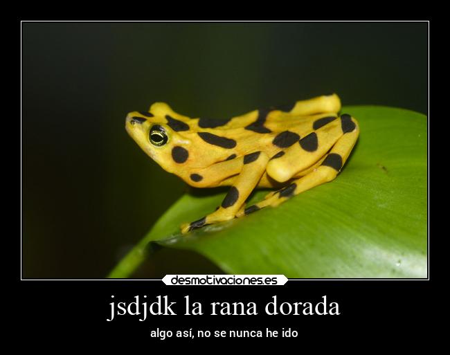 carteles animales desmotivaciones