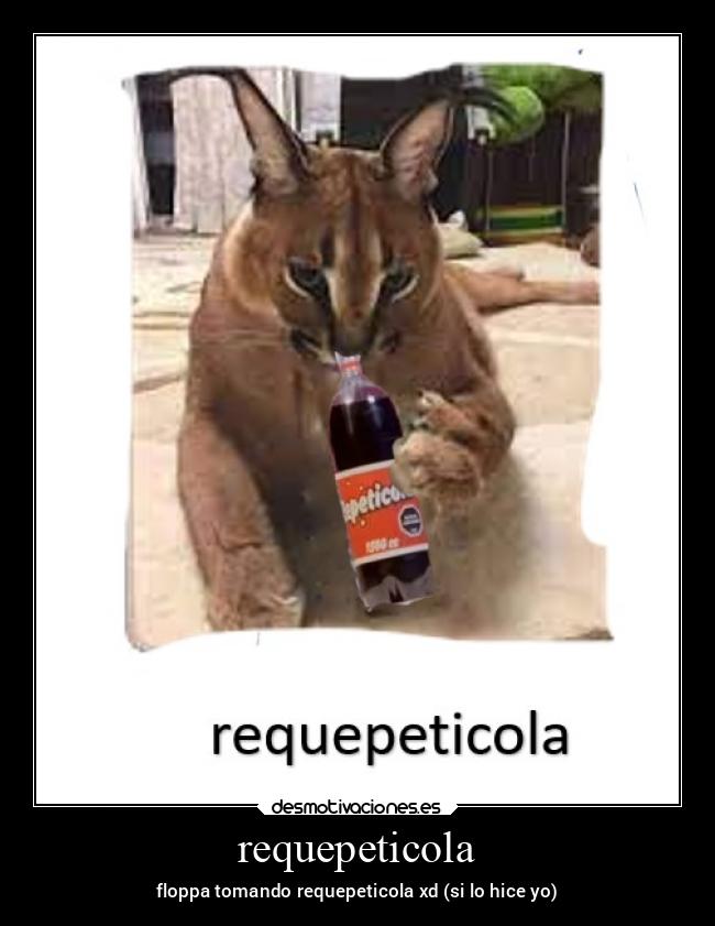 requepeticola - floppa tomando requepeticola xd (si lo hice yo)