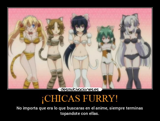 ¡CHICAS FURRY! - 