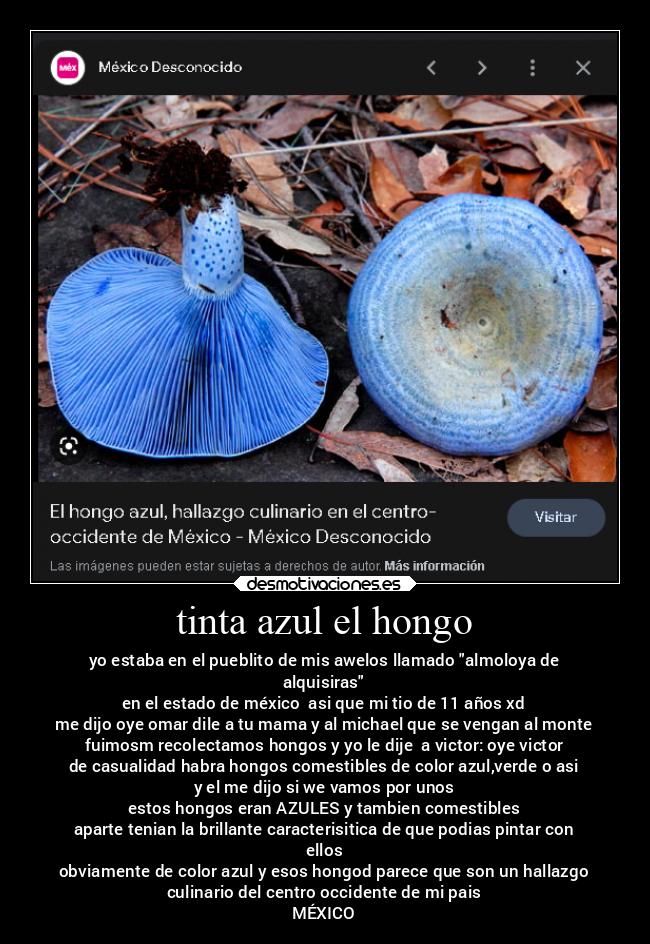 tinta azul el hongo - yo estaba en el pueblito de mis awelos llamado almoloya de
alquisiras
en el estado de méxico  asi que mi tio de 11 años xd
me dijo oye omar dile a tu mama y al michael que se vengan al monte
fuimosm recolectamos hongos y yo le dije  a victor: oye victor
de casualidad habra hongos comestibles de color azul,verde o asi
y el me dijo si we vamos por unos
estos hongos eran AZULES y tambien comestibles
aparte tenian la brillante caracterisitica de que podias pintar con
ellos
obviamente de color azul y esos hongod parece que son un hallazgo
culinario del centro occidente de mi pais
MÉXICO