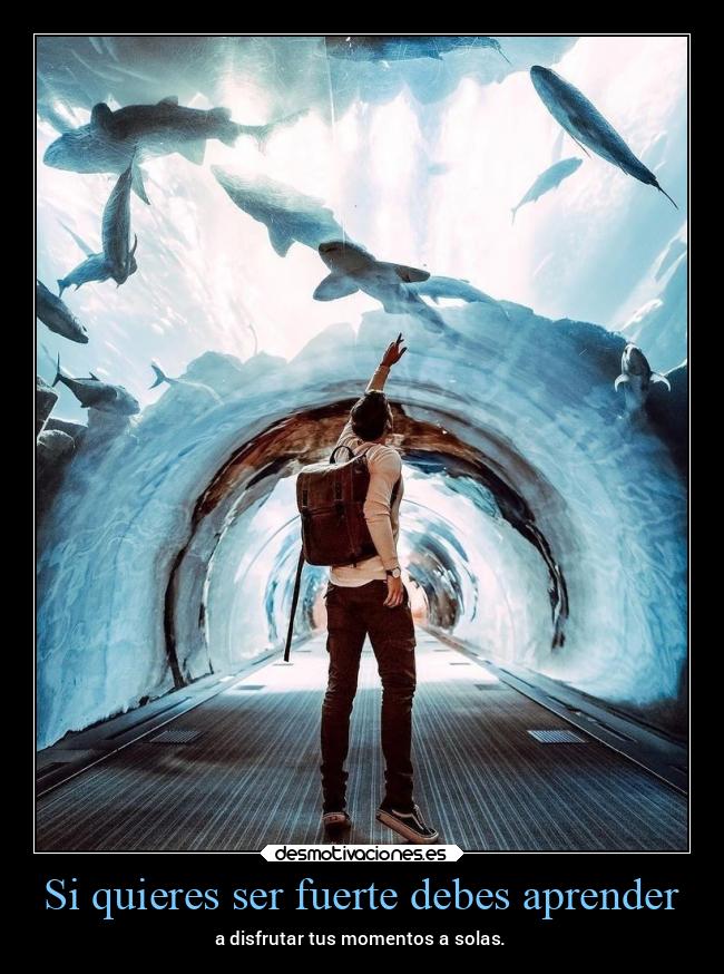 Si quieres ser fuerte debes aprender - a disfrutar tus momentos a solas.