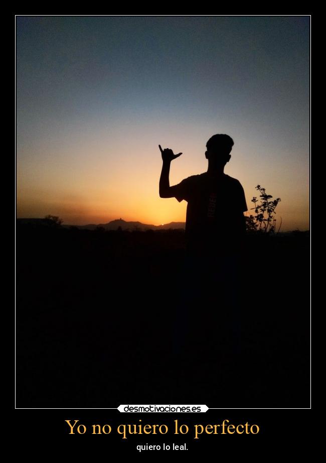 Yo no quiero lo perfecto -