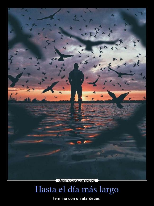Hasta el día más largo - 