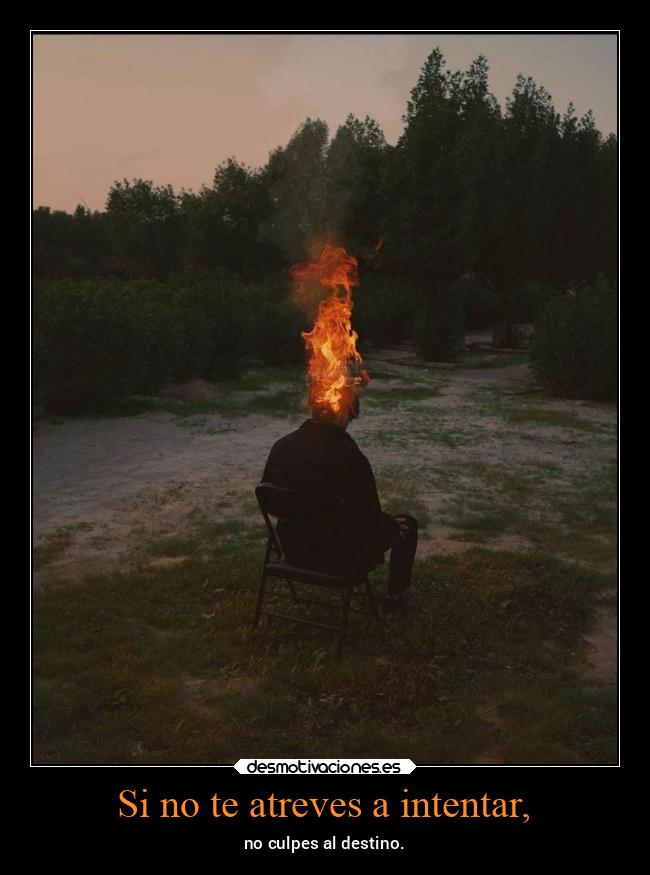 Si no te atreves a intentar, - 