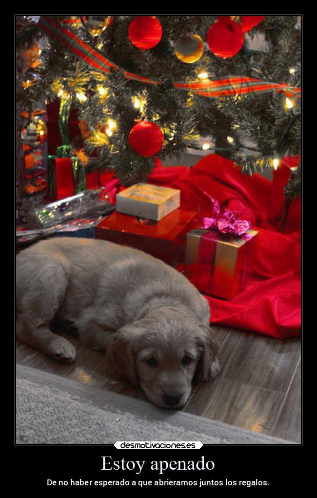 carteles esperanza animales navidad perro desmonavidad2022 desmotivaciones