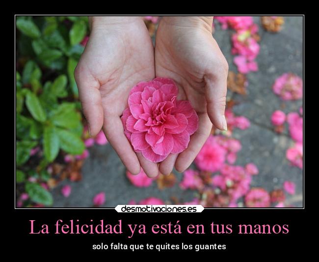 carteles felicidad alma frases amor felicidad alegria carino boreafujoshi desmotivaciones