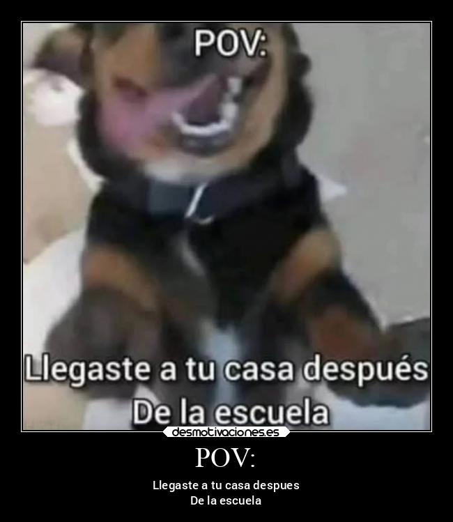 carteles memes desmotivaciones