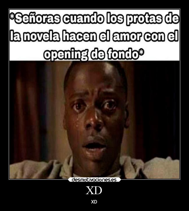 carteles memes desmotivaciones