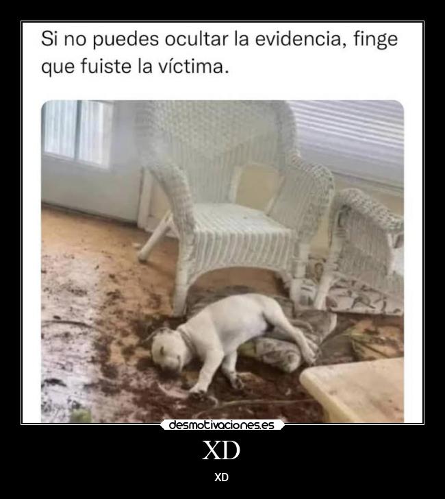 carteles memes desmotivaciones