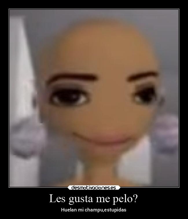Les gusta me pelo? - Huelan mi champu,estupidas