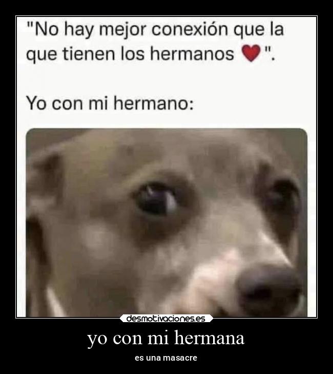 carteles memes desmotivaciones