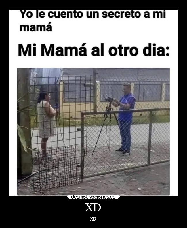 carteles memes desmotivaciones