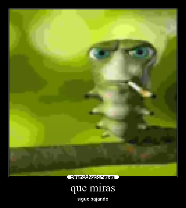 carteles memes desmotivaciones