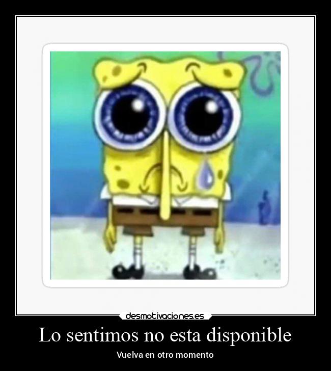 carteles abrazos esponja desmotivaciones