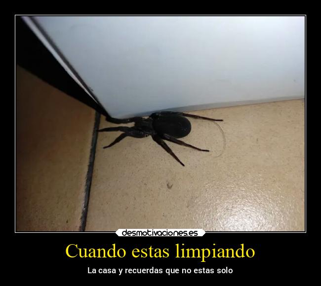 carteles amor arte caracter debilidad alicea desmotivaciones