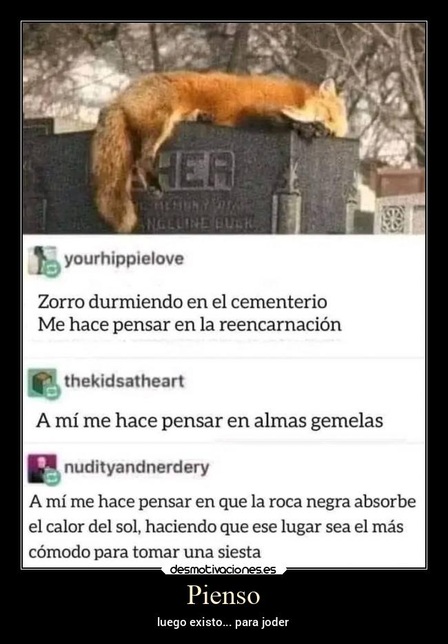 Pienso - luego existo... para joder