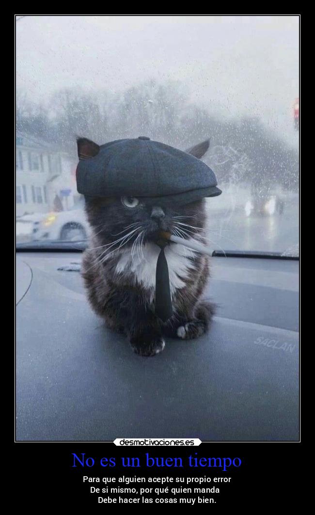 carteles caracter pensamientos promesas alma gatitopeakybliender miguelflippy2021 desmotivaciones