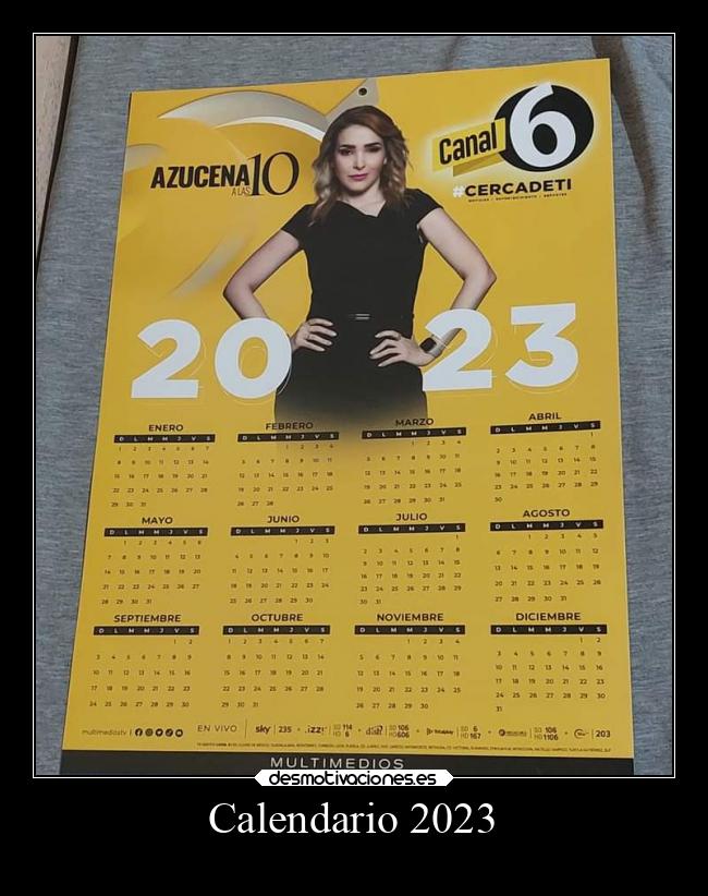 carteles chiste alicea desmotivaciones