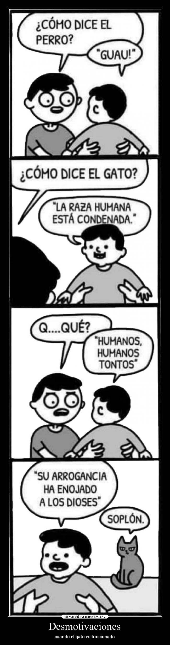 Desmotivaciones - cuando el gato es traicionado
