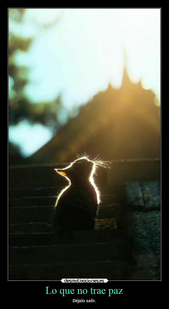 Lo que no trae paz - Déjalo salir.