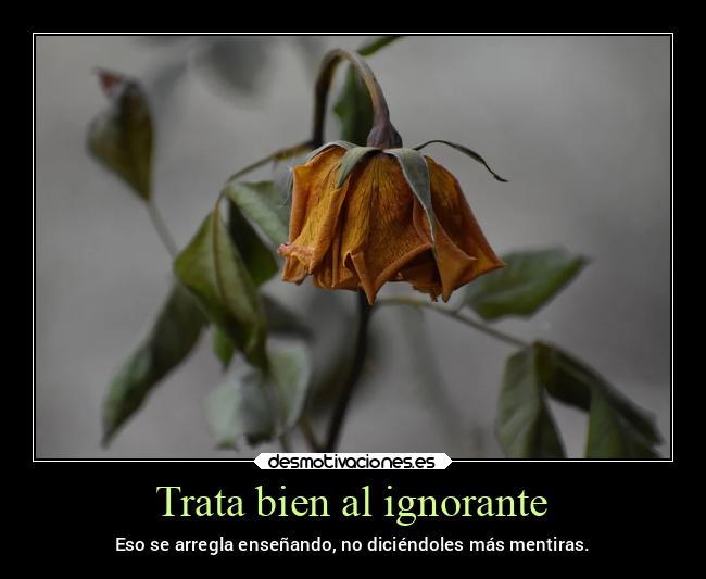 carteles sociedad mentira flor caida desmotivaciones