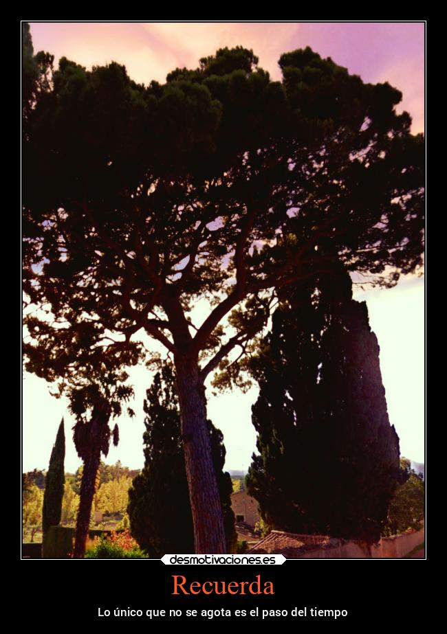 carteles vida v12 waltkdame principal desmotivaciones