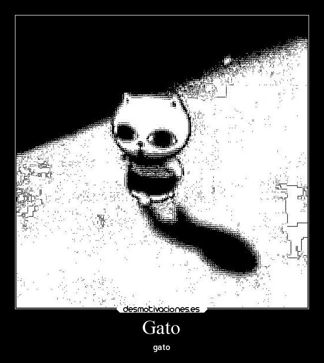 Gato - gato