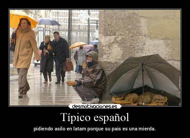 carteles animales desmotivaciones