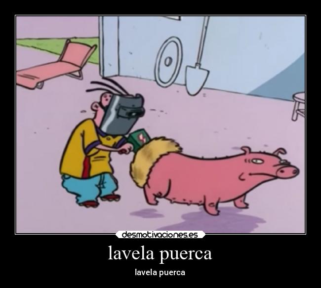 lavela puerca -