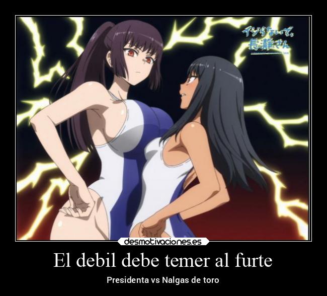 El debil debe temer al furte - Presidenta vs Nalgas de toro