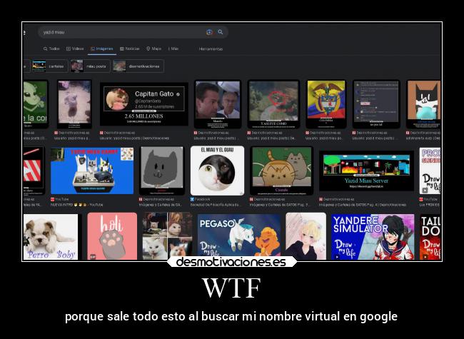 WTF - porque sale todo esto al buscar mi nombre virtual en google