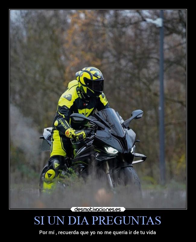 SI UN DIA PREGUNTAS - 