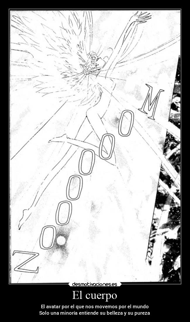 El cuerpo - 