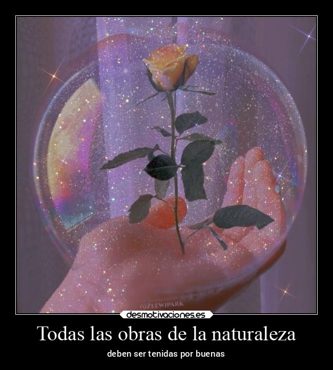 carteles naturaleza arte frases naturaleza angelphantomhive dulcesitophantomhive aesthetic brillitos desmotivaciones