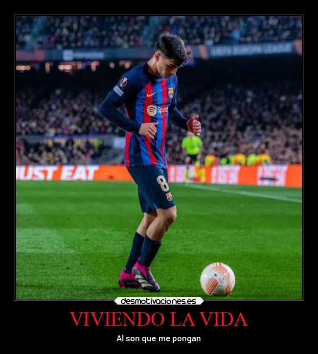 VIVIENDO LA VIDA - 