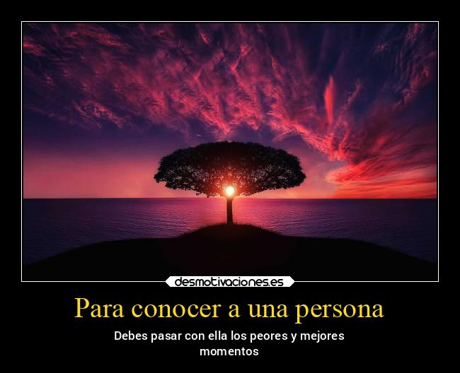 carteles vida v12 waltkdame principal desmotivaciones