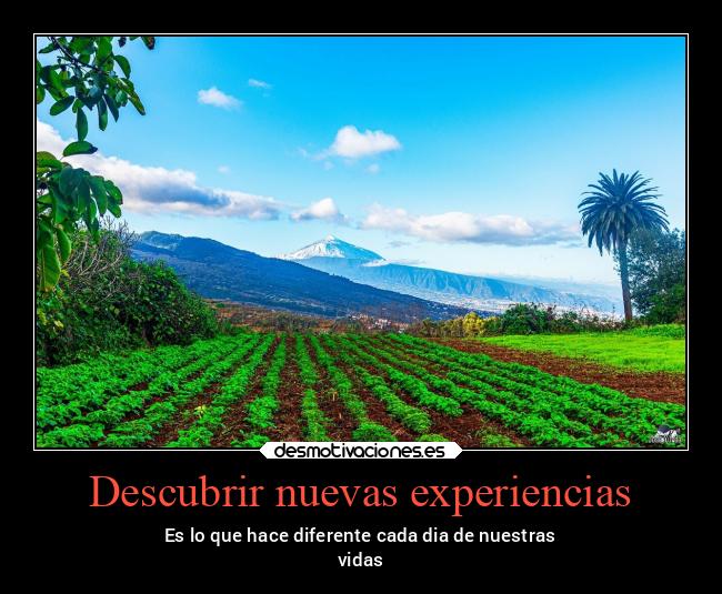 carteles vida v12 waltkdame principal desmotivaciones