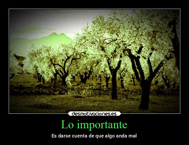 Lo importante - 