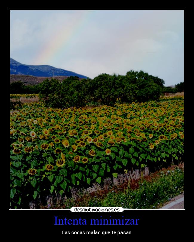 carteles vida v12 waltkdame principal desmotivaciones