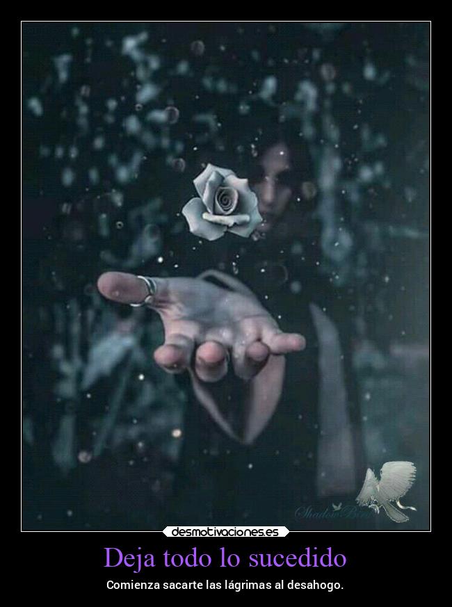 Deja todo lo sucedido - Comienza sacarte las lágrimas al desahogo.