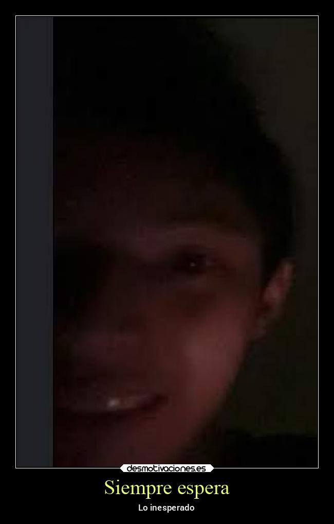 carteles bogota odio tuenti tonto tetas promesas desmotivaciones