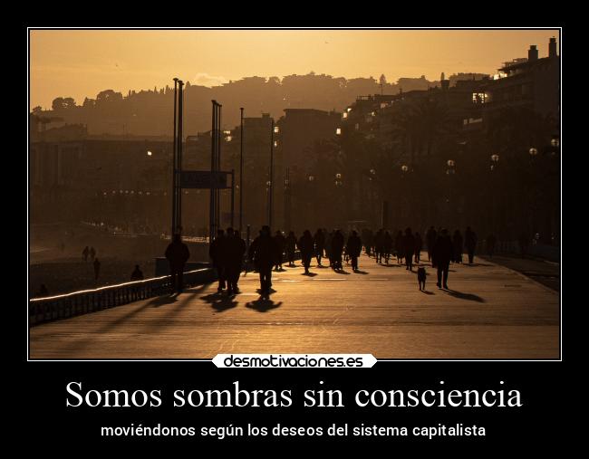 Somos sombras sin consciencia - 