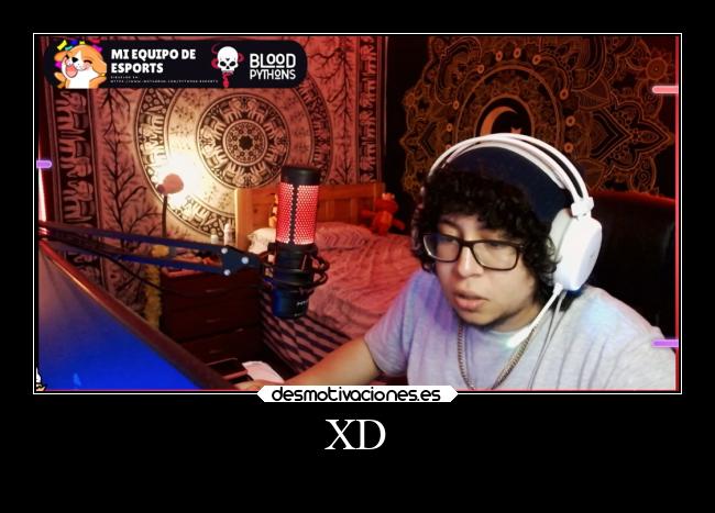 carteles humor desmotivaciones