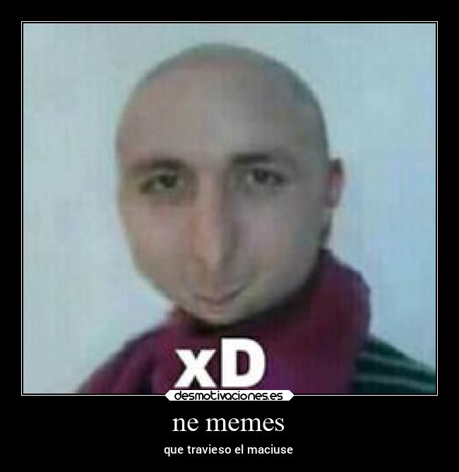 carteles memes comida desmotivaciones