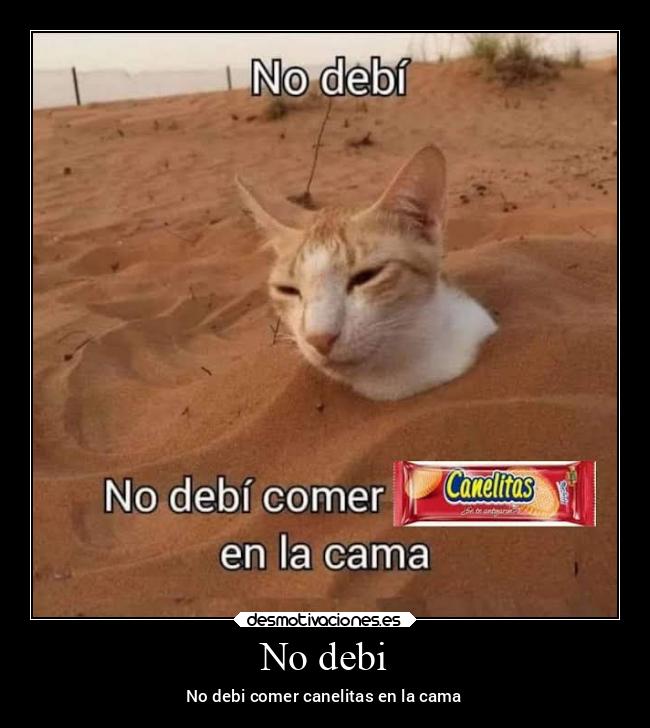 No debi - No debi comer canelitas en la cama